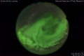 2017/6/6 04:01’36”