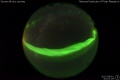 2017/8/1 01:01’26”