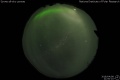 2018/4/8 21:00’10”