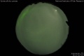 2018/4/8 21:57’34”