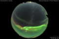 2018/5/5 17:08’28”