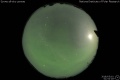 2018/5/10 01:52’18”