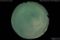 2018/9/28 23:00’10”