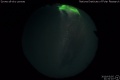 2019/3/5 21:31’10”
