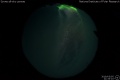 2019/3/5 21:33’10”