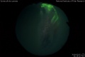 2019/3/5 21:35’10”