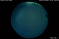 2019/3/6 20:01’10”