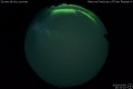 2019/3/6 20:31’10”