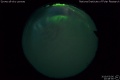 2019/3/6 20:48’56”