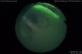 2019/3/6 21:00’58”
