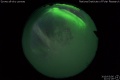 2019/3/6 21:01’28”