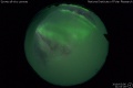 2019/3/6 21:04’28”