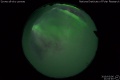2019/3/6 21:04’46”