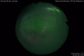 2019/3/6 21:30’00”