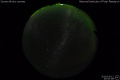 2019/3/12 20:50’08”