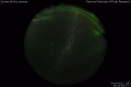 2019/3/13 21:00’48”