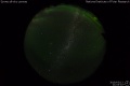 2019/3/13 21:03’02”