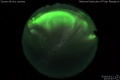 2019/3/13 22:00’40”