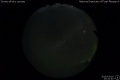 2019/3/16 23:31’40”