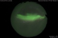 2019/4/12 22:49’10”