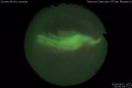 2019/4/12 22:50’18”