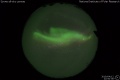 2019/4/12 22:50’36”
