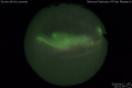 2019/4/12 22:51’00”