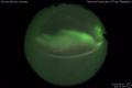 2019/4/12 22:51’30”