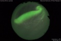 2019/4/12 23:03’38”