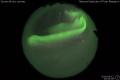 2019/4/12 23:08’08”