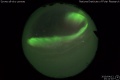2019/4/12 23:11’02”