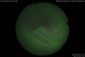 2019/5/11 22:22’54”