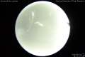 2019/5/23 14:31’10”