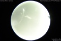 2019/5/23 14:51’10”