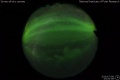 2019/7/8 03:00’08”