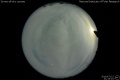 2019/7/22 21:43’10”