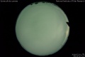 2019/7/24 00:03’10”