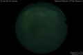 2019/7/31 03:56’10”