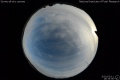2020/3/11 19:35’36”