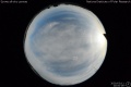 2020/3/11 20:00’06”
