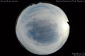 2020/3/11 20:11’08”