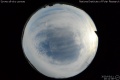 2020/3/11 20:11’38”