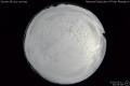 2020/3/11 20:55’08”