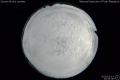 2020/3/11 20:56’38”
