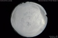 2020/3/11 21:00’54”
