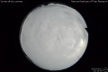 2020/3/11 21:14’10”
