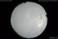2020/3/11 21:19’54”