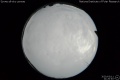 2020/3/11 21:20’40”