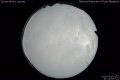 2020/3/11 21:22’54”