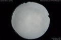 2020/3/11 21:31’54”
